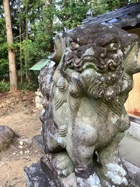 熊野社(塔野地東屋敷)の狛犬