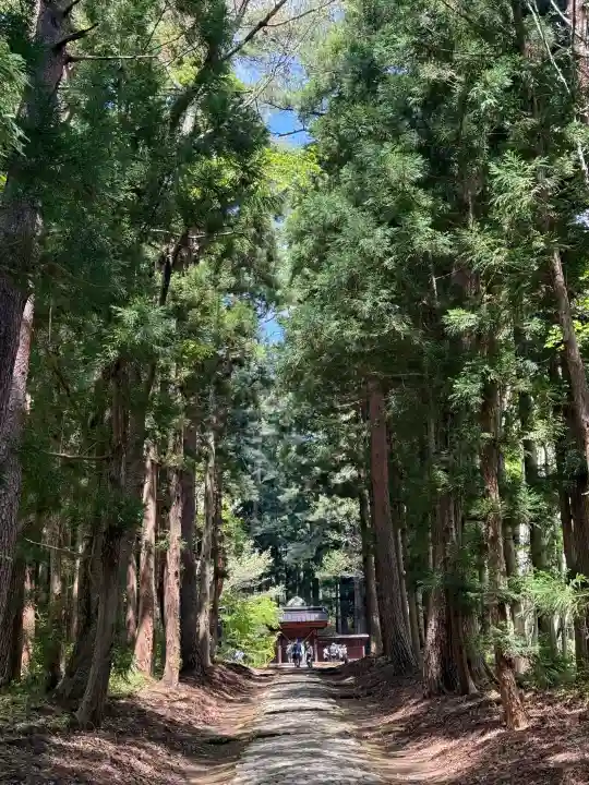 土津神社奥之院の{uncategorized: "未分類", other: "その他", undefined: "問題あり", building: "その他建物", grave: "お墓", sacred_gate: "鳥居", guardian: "狛犬", statue: "像", buddha: "仏像", history: "歴史", nature: "自然", garden: "庭園", animal: "動物", pagoda: "塔", temizu: "手水舎", mountain_gate: "山門・神門", sanctuary: "本殿・本堂", subordinate: "末社・摂社", art: "芸術", scenery: "景色", jizo: "地蔵", ema: "絵馬", goshuin: "御朱印", omikuji: "おみくじ", items: "授与品その他", amulet: "お守り", goshuincho: "御朱印帳", eats: "食事", festival: "お祭り", votive_dance: "神楽", shichigosan: "七五三参", wedding: "結婚式", experience: "体験その他", initially: "初詣", around: "周辺", anti_infection: "感染症対策"}
