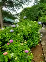 開成山大神宮(福島県)