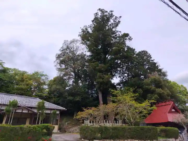 志波加神社の{uncategorized: "未分類", other: "その他", undefined: "問題あり", building: "その他建物", grave: "お墓", sacred_gate: "鳥居", guardian: "狛犬", statue: "像", buddha: "仏像", history: "歴史", nature: "自然", garden: "庭園", animal: "動物", pagoda: "塔", temizu: "手水舎", mountain_gate: "山門・神門", sanctuary: "本殿・本堂", subordinate: "末社・摂社", art: "芸術", scenery: "景色", jizo: "地蔵", ema: "絵馬", goshuin: "御朱印", omikuji: "おみくじ", items: "授与品その他", amulet: "お守り", goshuincho: "御朱印帳", eats: "食事", festival: "お祭り", votive_dance: "神楽", shichigosan: "七五三参", wedding: "結婚式", experience: "体験その他", initially: "初詣", around: "周辺", anti_infection: "感染症対策"}
