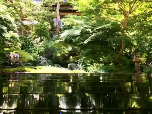 光明寺瑠璃光院の庭園