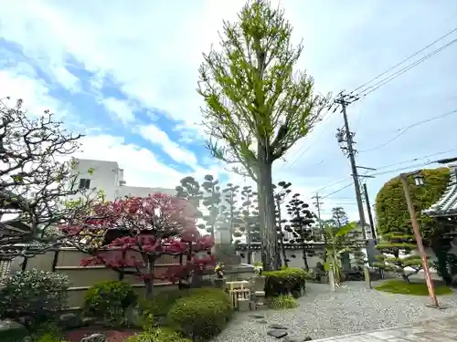 梅香寺(三重県)