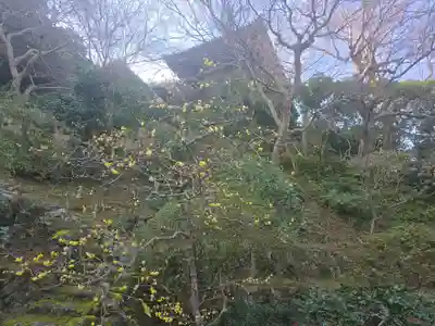 當麻寺 護念院(奈良県)