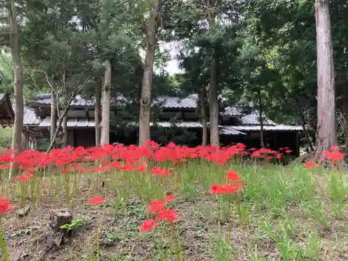 鶴谷八幡宮の庭園