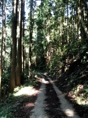 向山神社の周辺