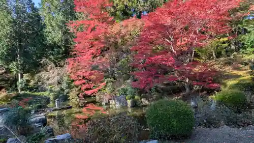善峯寺(京都府)