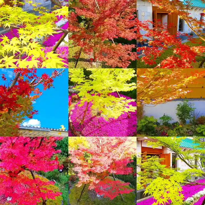 寿量山 速成寺の自然