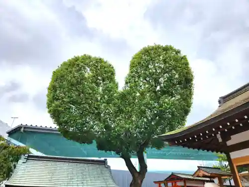 南宮宇佐八幡神社（脇浜神社）の自然