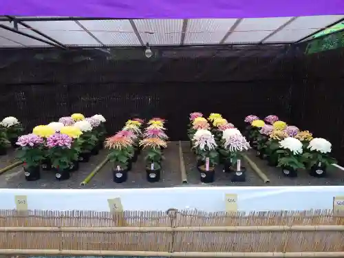 宗像大社(福岡県)