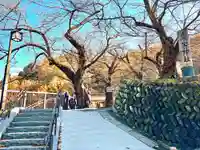 愛宕神社(山形県)