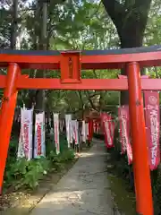 天開稲荷社の鳥居