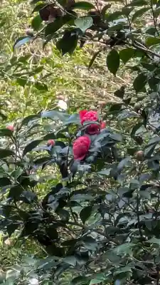 大豊神社(京都府)