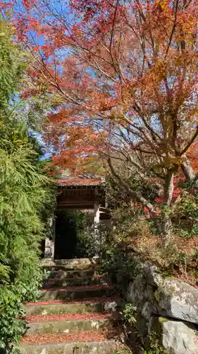 桂徳院(京都府)