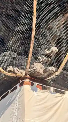 善光寺の{uncategorized: "未分類", other: "その他", undefined: "問題あり", building: "その他建物", grave: "お墓", sacred_gate: "鳥居", guardian: "狛犬", statue: "像", buddha: "仏像", history: "歴史", nature: "自然", garden: "庭園", animal: "動物", pagoda: "塔", temizu: "手水舎", mountain_gate: "山門・神門", sanctuary: "本殿・本堂", subordinate: "末社・摂社", art: "芸術", scenery: "景色", jizo: "地蔵", ema: "絵馬", goshuin: "御朱印", omikuji: "おみくじ", items: "授与品その他", amulet: "お守り", goshuincho: "御朱印帳", eats: "食事", festival: "お祭り", votive_dance: "神楽", shichigosan: "七五三参", wedding: "結婚式", experience: "体験その他", initially: "初詣", around: "周辺", anti_infection: "感染症対策"}