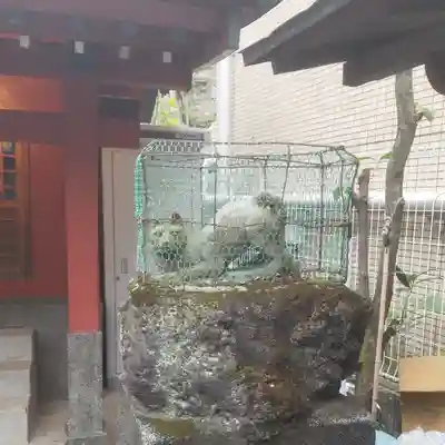 栁神社の狛犬