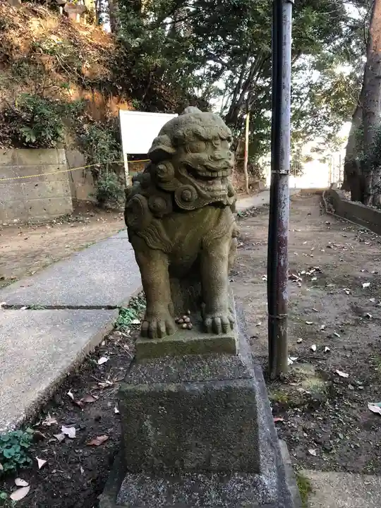 熊野神社(杉田・中原)の狛犬