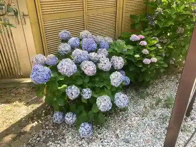延命寺（逗子大師延命寺）(神奈川県)