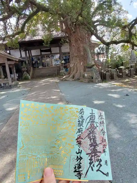 妙蓮寺(熊本県)