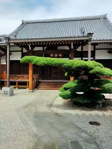 安樂寺(大阪府)