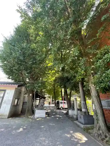 穏田神社の自然