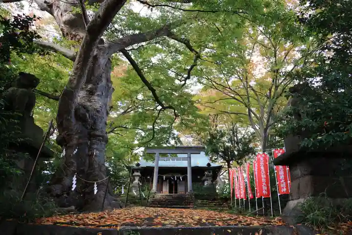 愛宕神社の景色