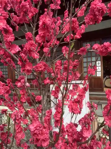 真清田神社の自然