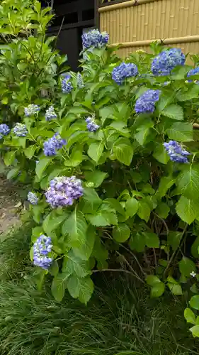 行願寺（革堂）(京都府)
