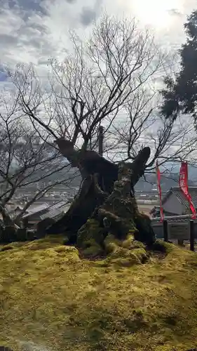 慈恩寺阿弥陀堂(奈良県)