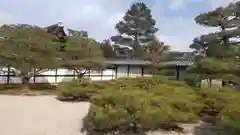 仁和寺の庭園