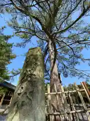 氣比神宮の建物その他