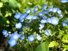 清水寺(長野県)