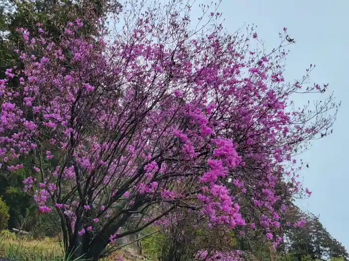 妙義神社の自然