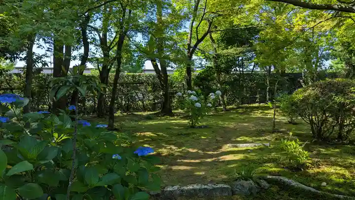 法金剛院の庭園