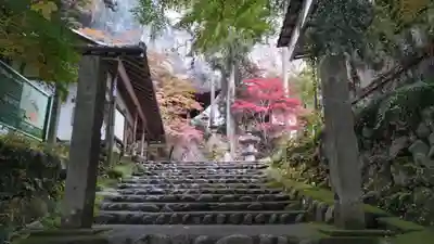 橋立堂(埼玉県)