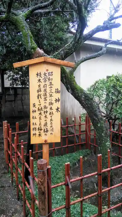 天神社の自然