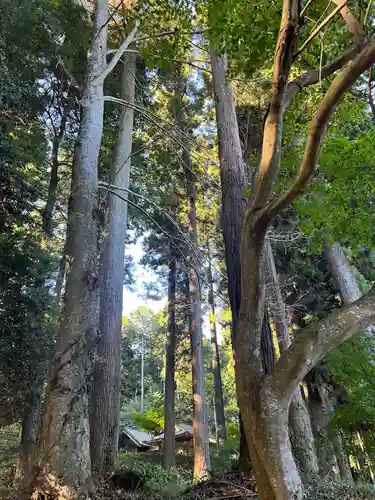 大宮温泉神社(栃木県)