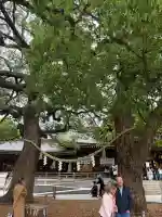 明治神宮の{uncategorized: "未分類", other: "その他", undefined: "問題あり", building: "その他建物", grave: "お墓", sacred_gate: "鳥居", guardian: "狛犬", statue: "像", buddha: "仏像", history: "歴史", nature: "自然", garden: "庭園", animal: "動物", pagoda: "塔", temizu: "手水舎", mountain_gate: "山門・神門", sanctuary: "本殿・本堂", subordinate: "末社・摂社", art: "芸術", scenery: "景色", jizo: "地蔵", ema: "絵馬", goshuin: "御朱印", omikuji: "おみくじ", items: "授与品その他", amulet: "お守り", goshuincho: "御朱印帳", eats: "食事", festival: "お祭り", votive_dance: "神楽", shichigosan: "七五三参", wedding: "結婚式", experience: "体験その他", initially: "初詣", around: "周辺", anti_infection: "感染症対策"}