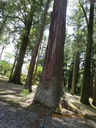 宇奈己呂和気神社の自然