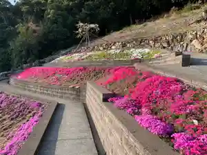 普門寺(切り絵御朱印発祥の寺)の自然(2022年04月10日(日) 21時07分32秒投稿)