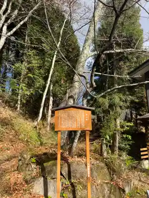 戸隠神社火之御子社(長野県)