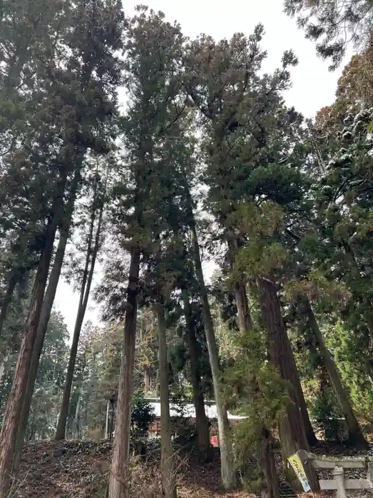 大宮温泉神社(栃木県)