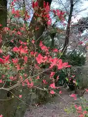 烏森神社の自然