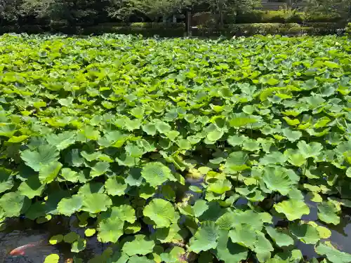 旗上弁財天社(神奈川県)