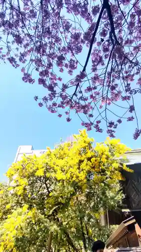 蔵前神社(東京都)