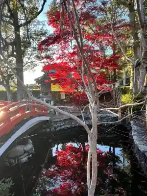 宝来山神社(和歌山県)
