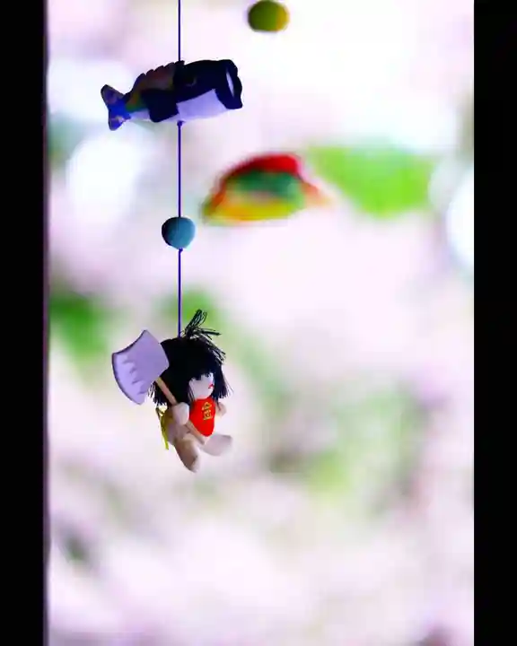 越中一宮 髙瀬神社の本殿・本堂