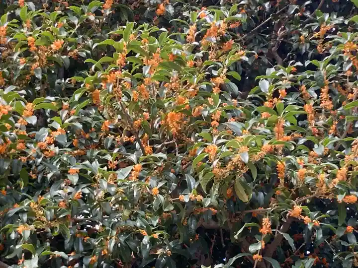 吉祥院(東京都)