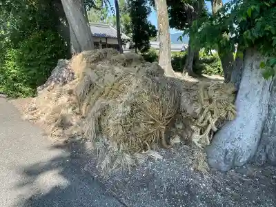 素盞嗚神社(奈良県)