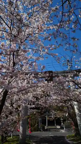 諏訪神社の鳥居