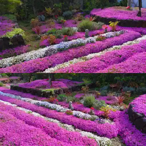 寿量山　速成寺の自然